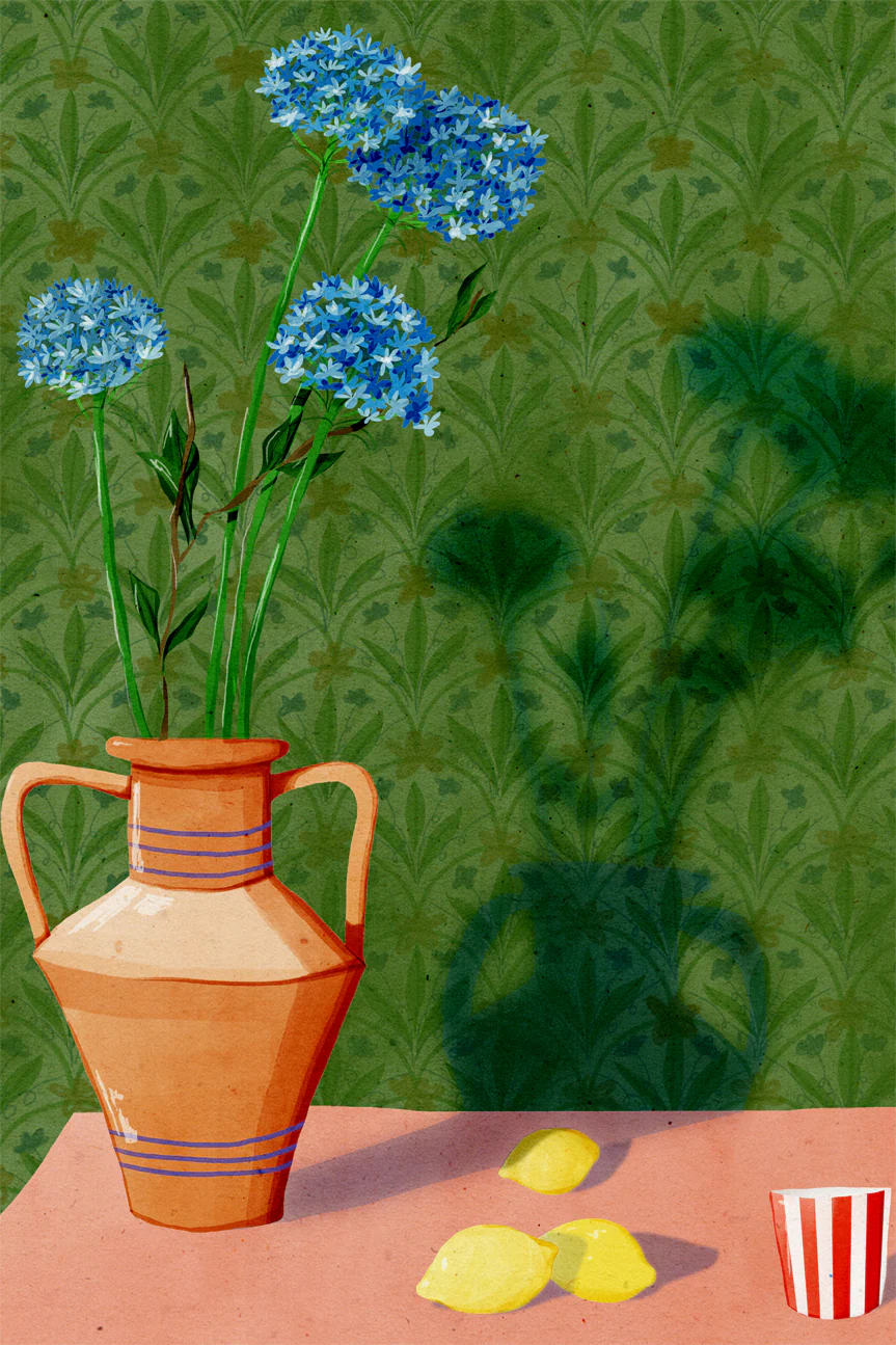 Lily Of The Nile