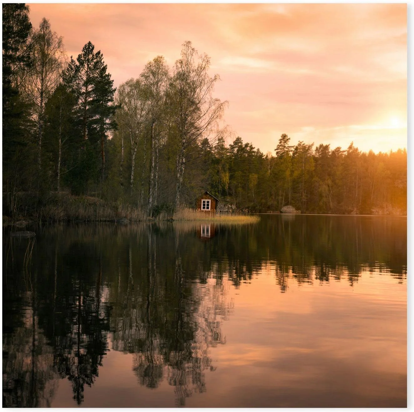 Little Red House