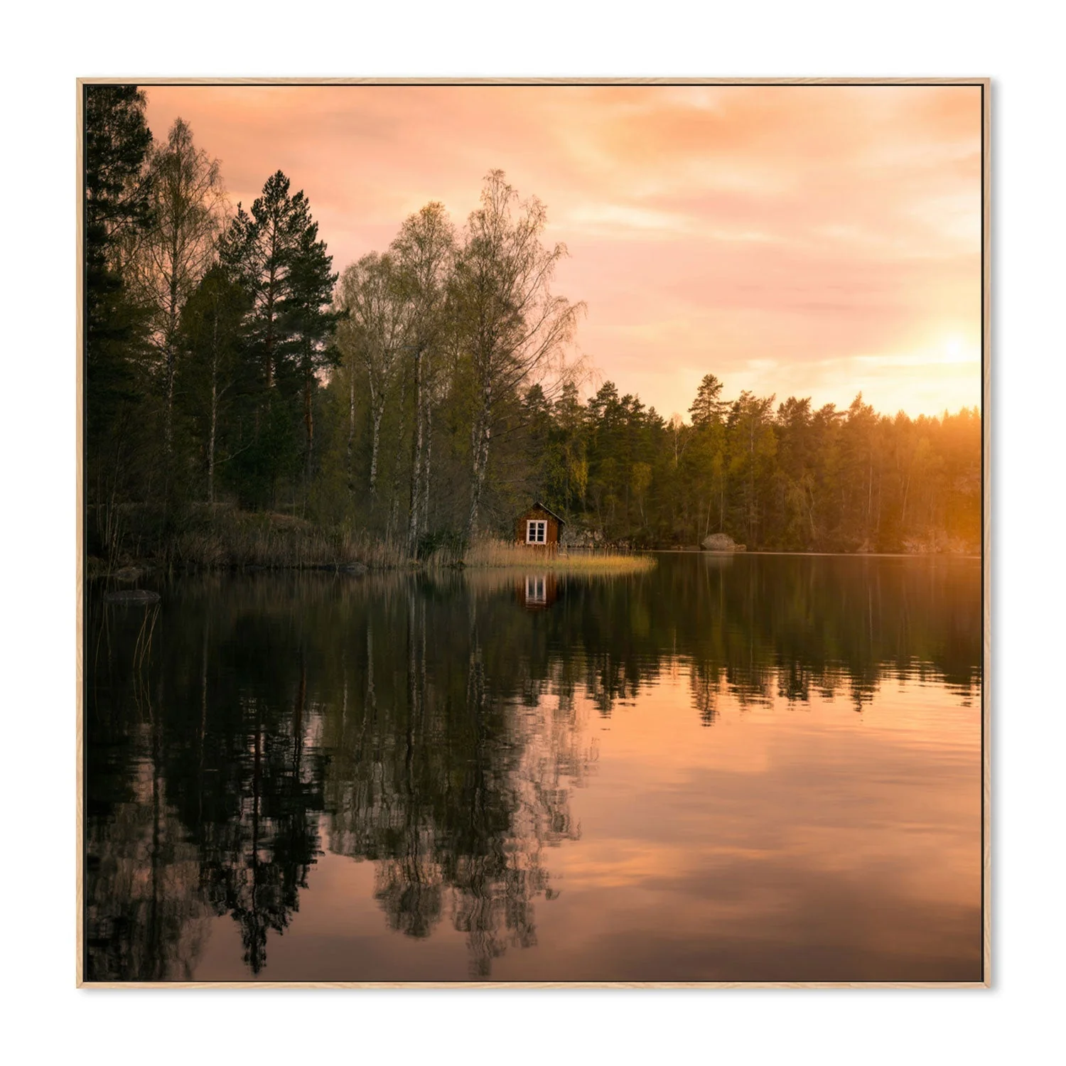 Little Red House - Image 4