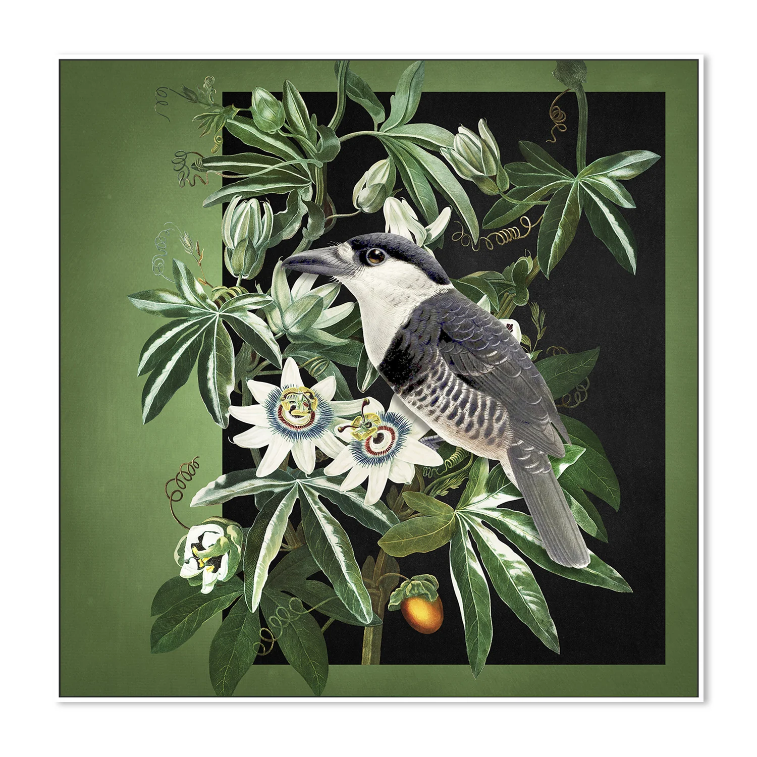 Loiseau Et La Passiflore - Image 5