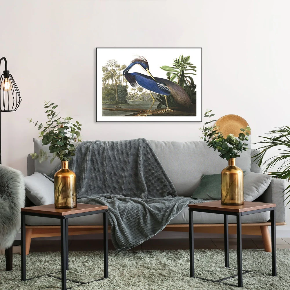 Louisiana Heron, By John James Audubon - Image 3