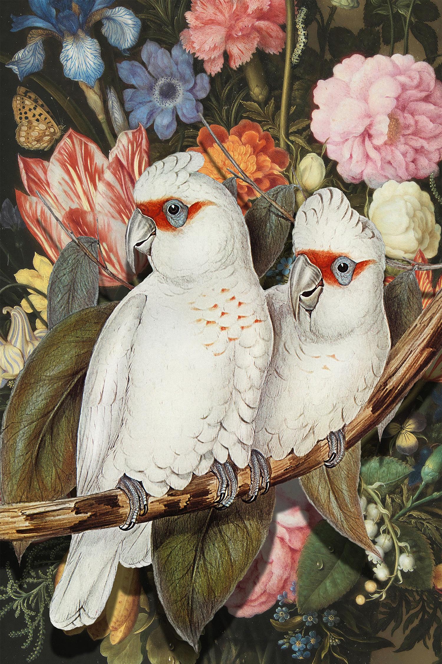 Lovebirds