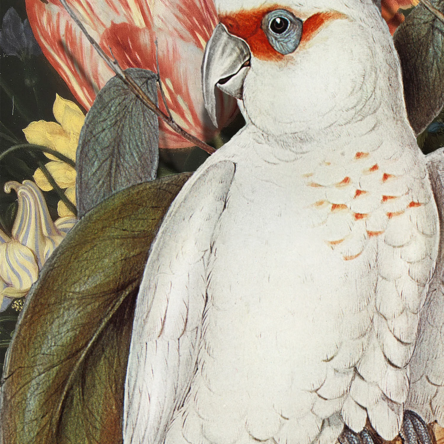 Lovebirds - Image 10