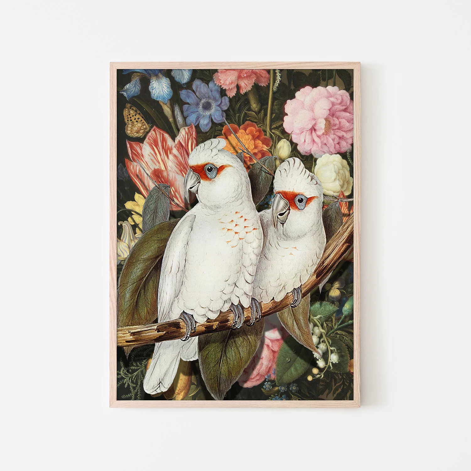 Lovebirds - Image 6