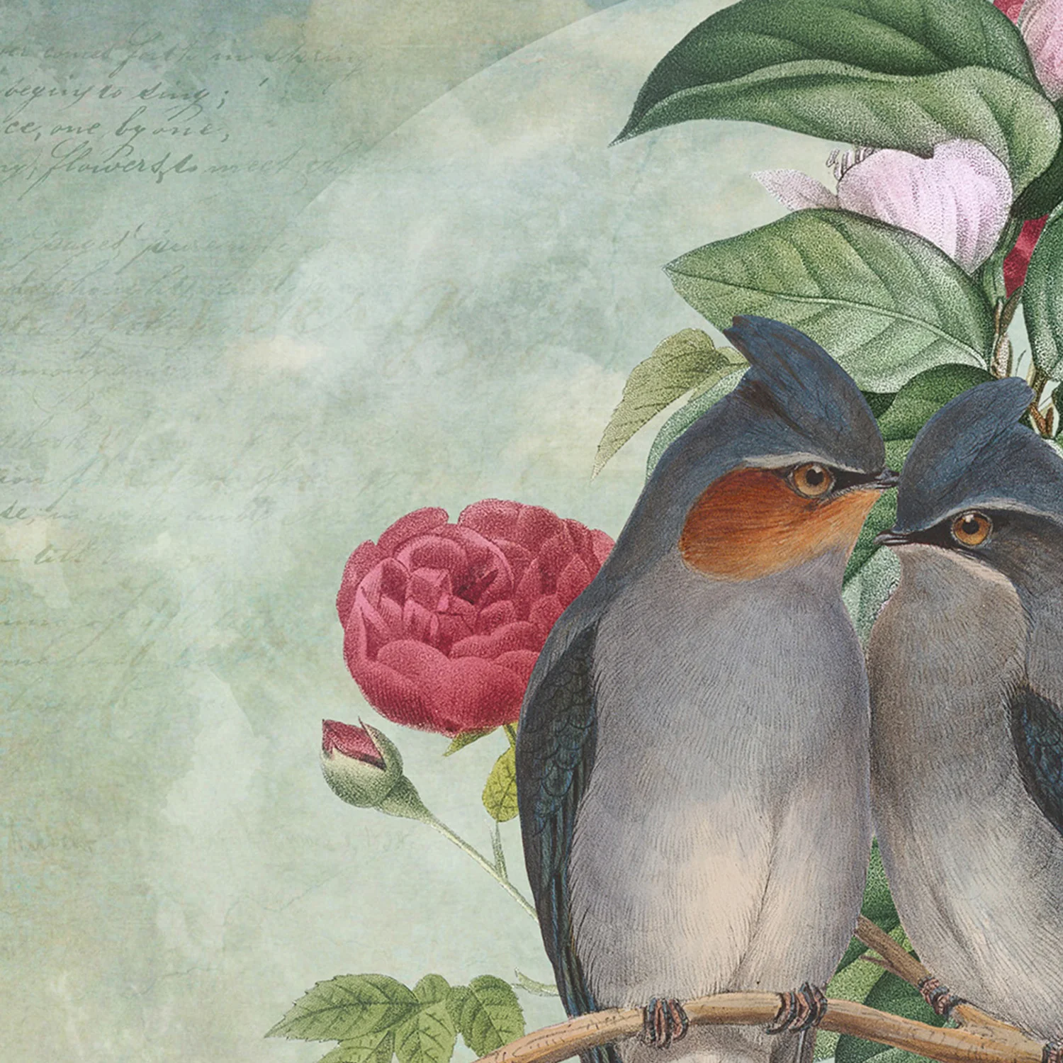 Lovebirds - Image 10
