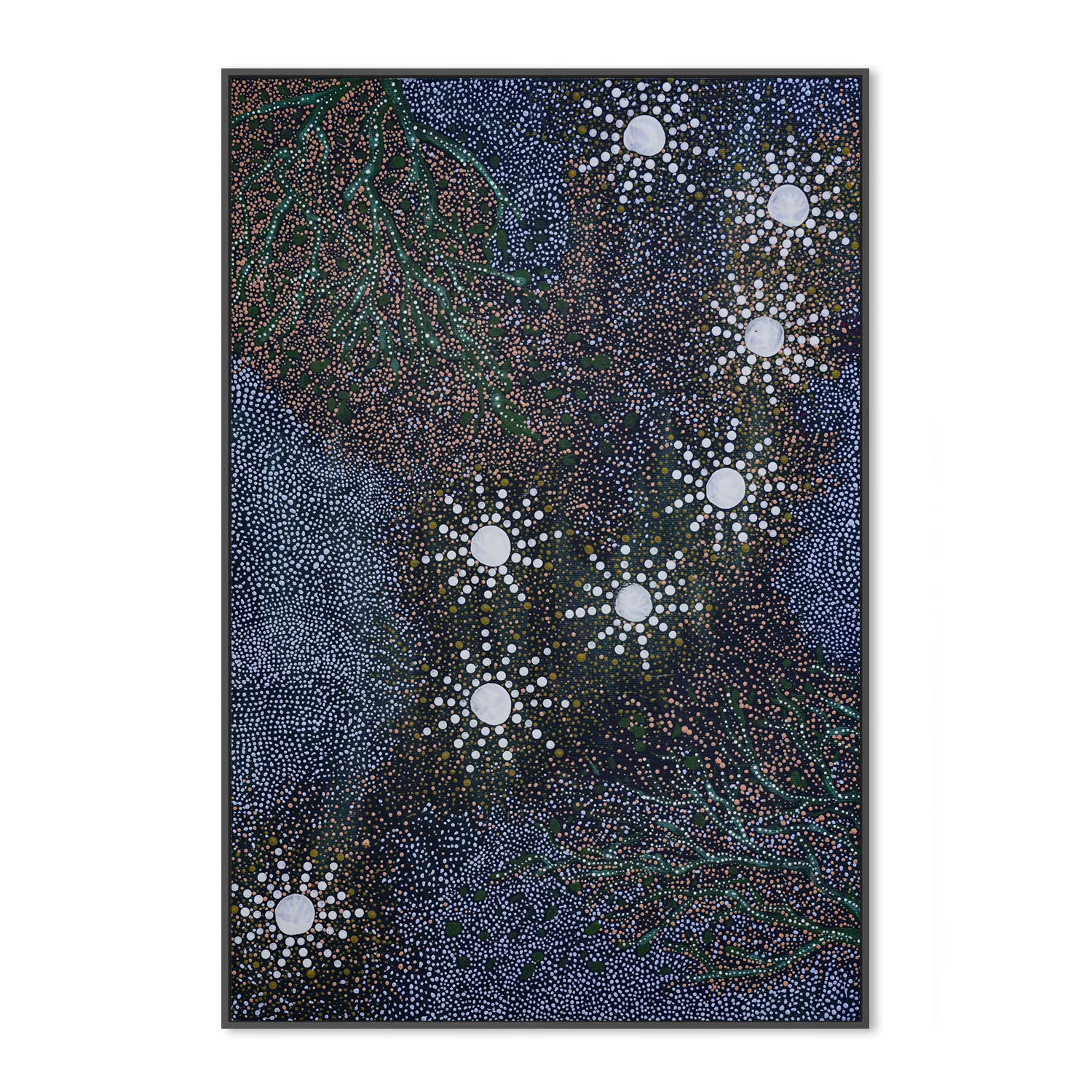 Maar - Koodjal Yorgas Dreaming 7 sisters dreaming - Image 3