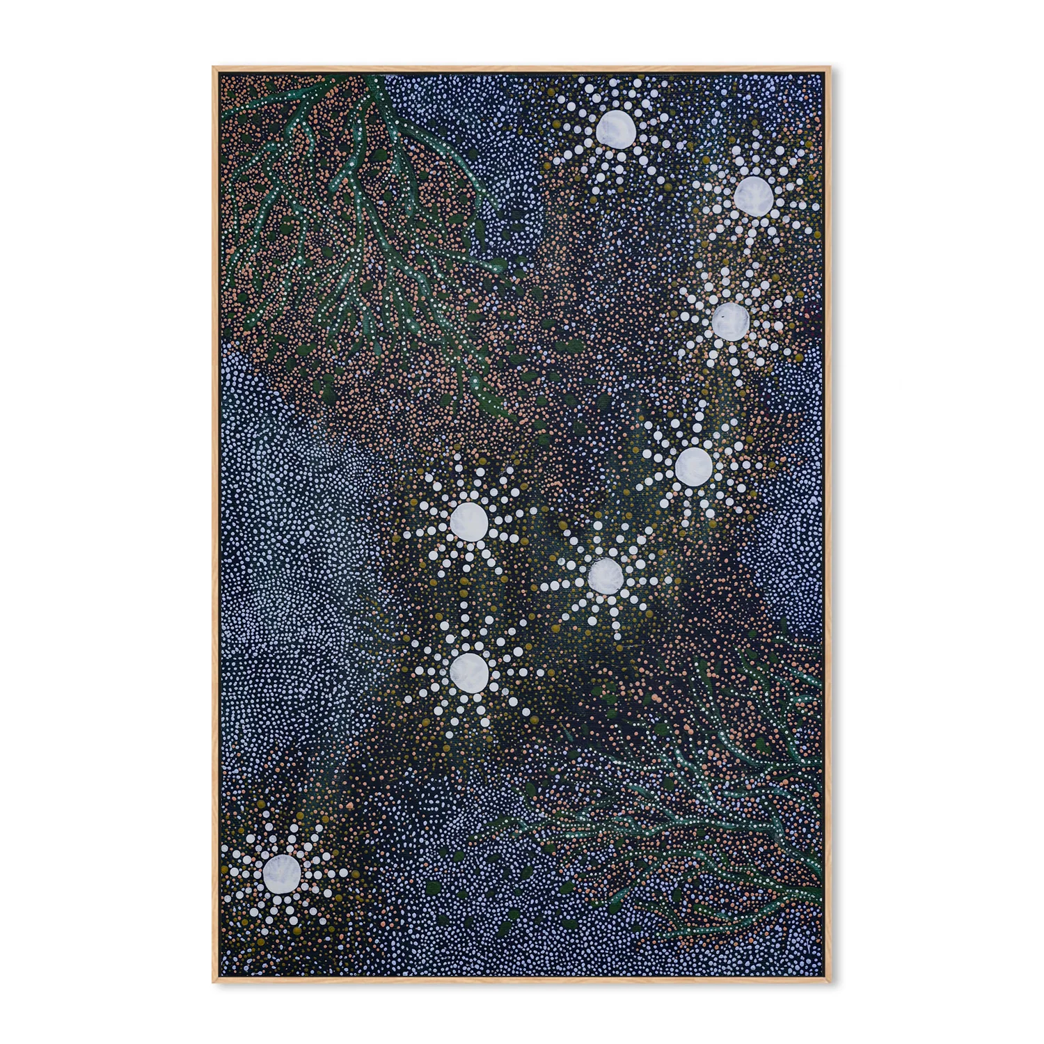 Maar - Koodjal Yorgas Dreaming 7 sisters dreaming - Image 4