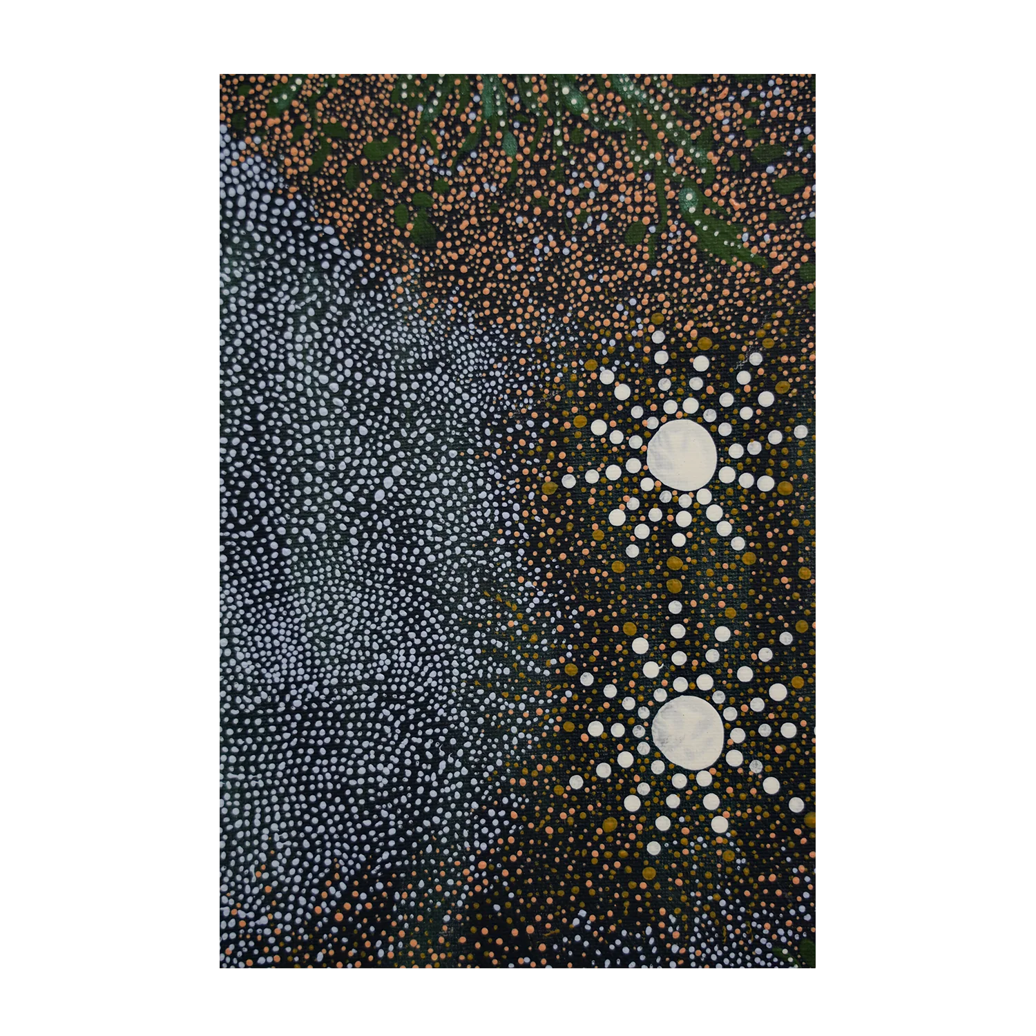 Maar - Koodjal Yorgas Dreaming 7 sisters dreaming, Two Sister