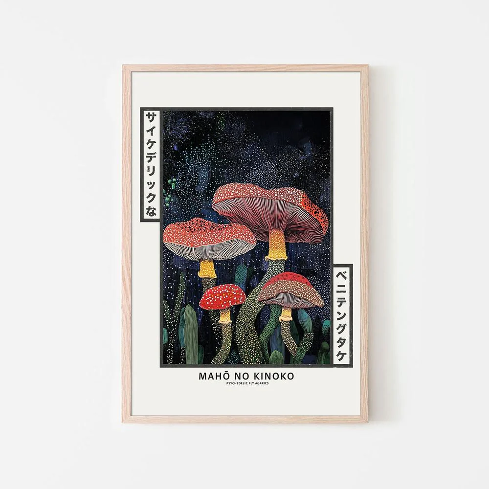 Magic Night Mushrooms - Image 6