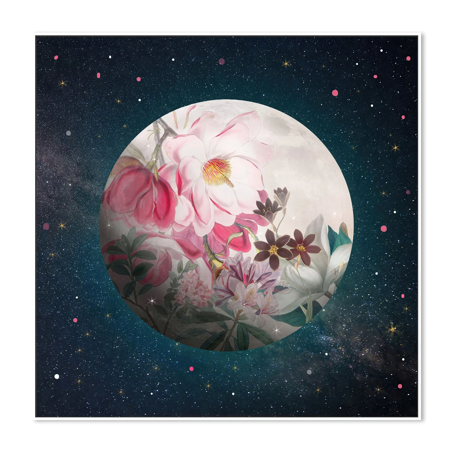 Magnolia Moon - Image 5