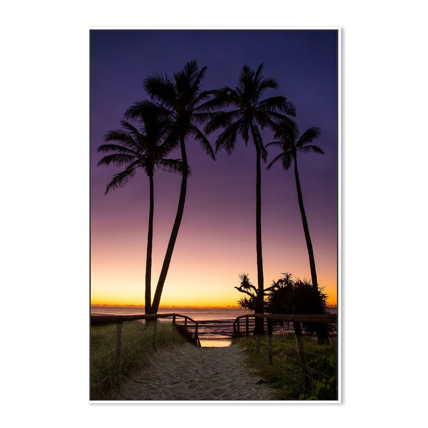 Main Beach Palms, Gold Coast, Queensland - Image 5