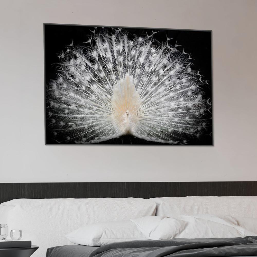 Majestic White Peacock - Image 2