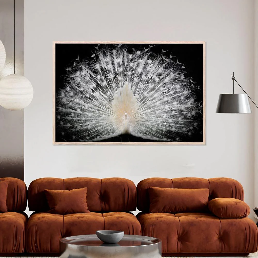 Majestic White Peacock - Image 7