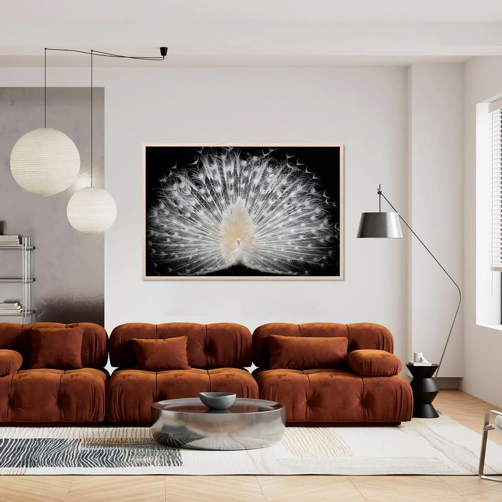 Majestic White Peacock - Image 8