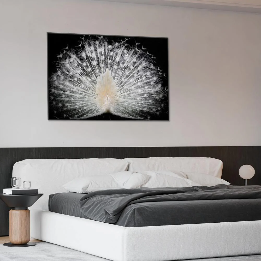 Majestic White Peacock - Image 9