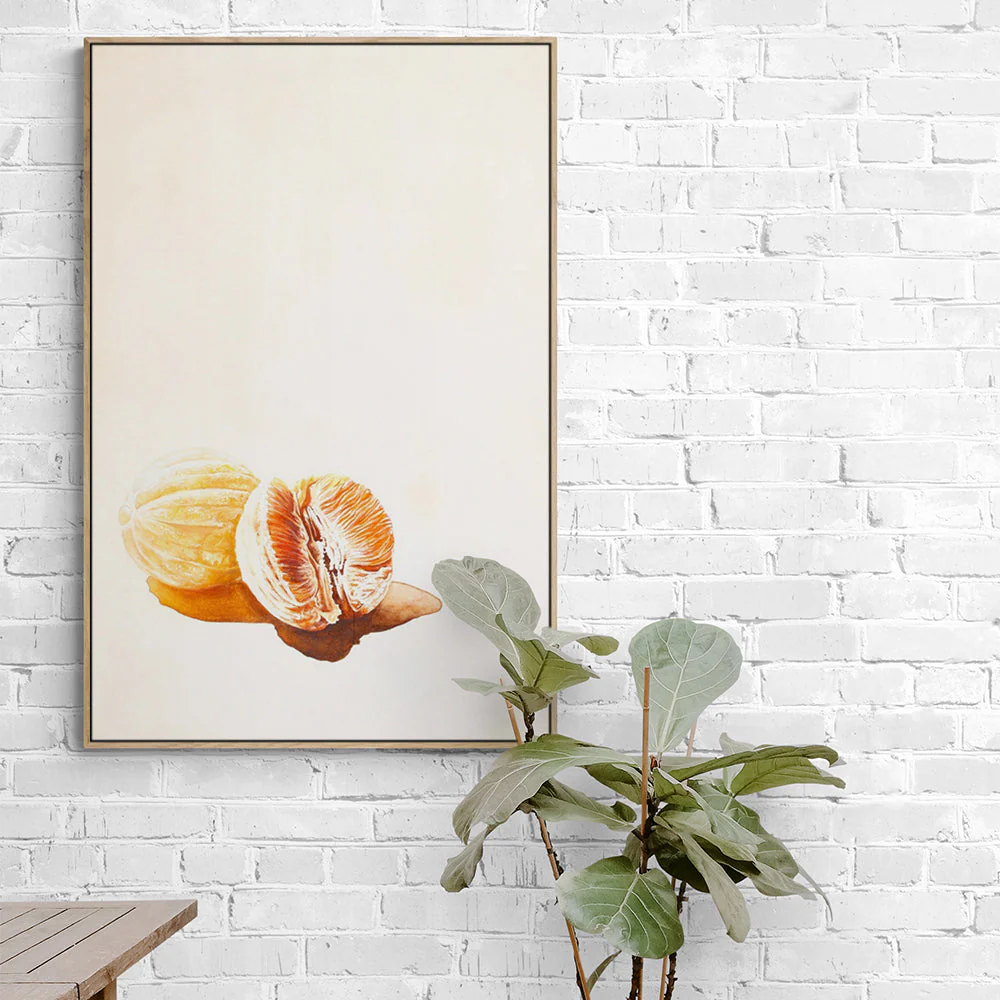 Mandarins - Image 2