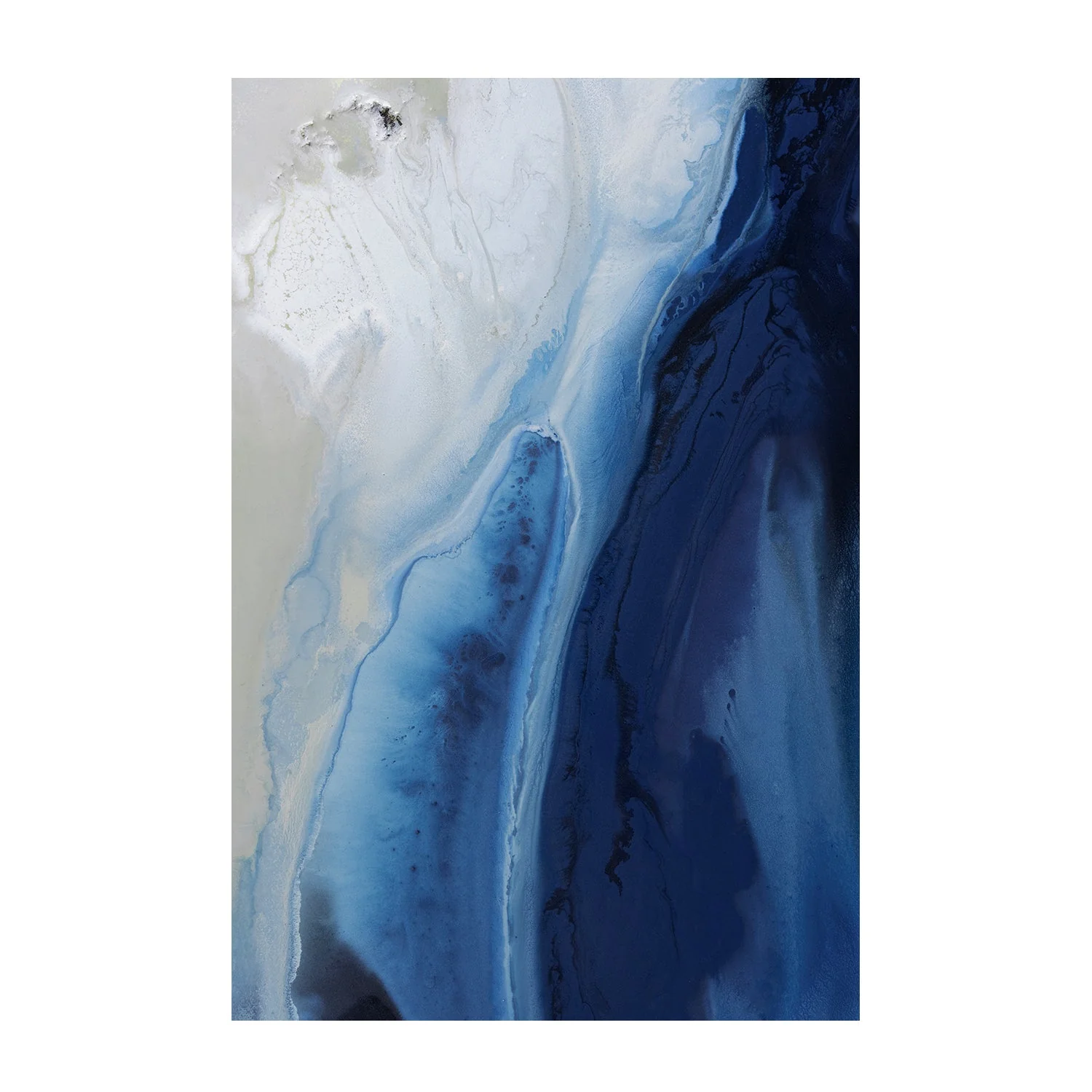 Marine Majesty, Style A, B & C, Set Of 3 - Image 9
