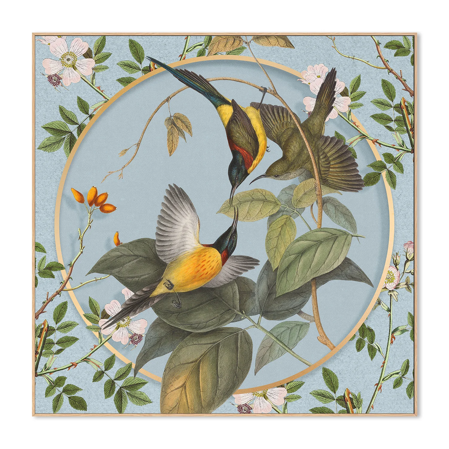 Avian Harmony - Image 4