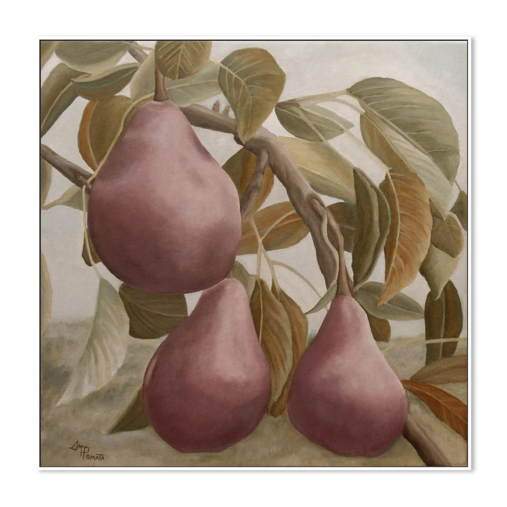 Max Red Bartlett Pears - Image 5