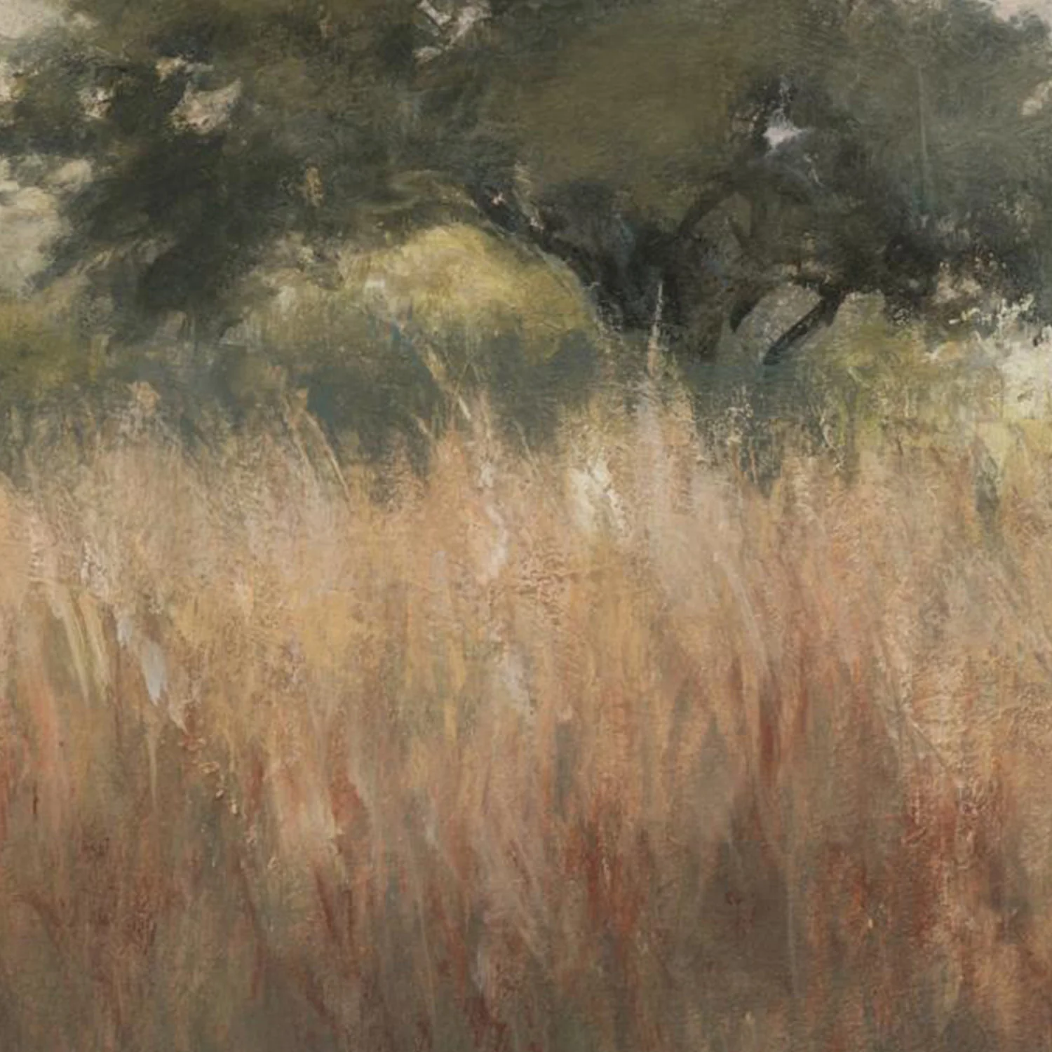 Meadowland Country Traditions - Image 11