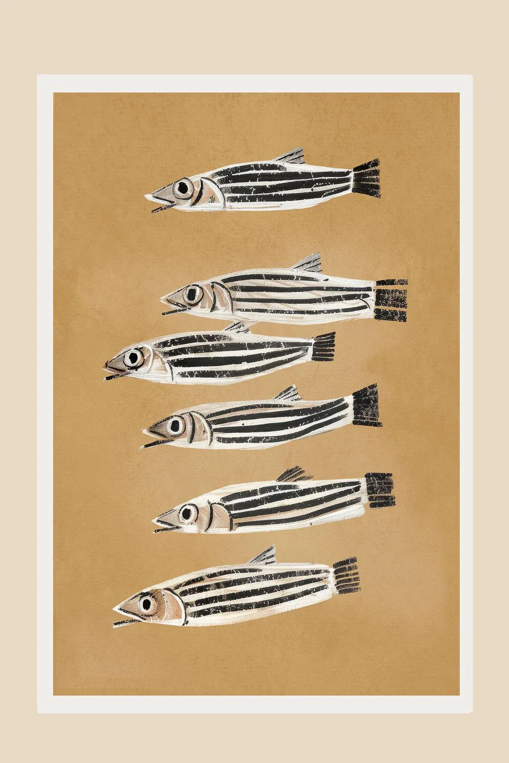 Minimal Fish Study