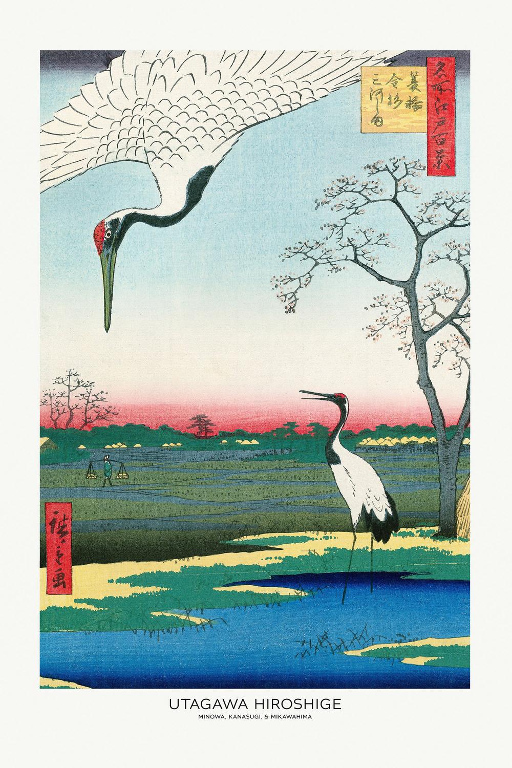 Minowa Kanasugi and Mikawashima