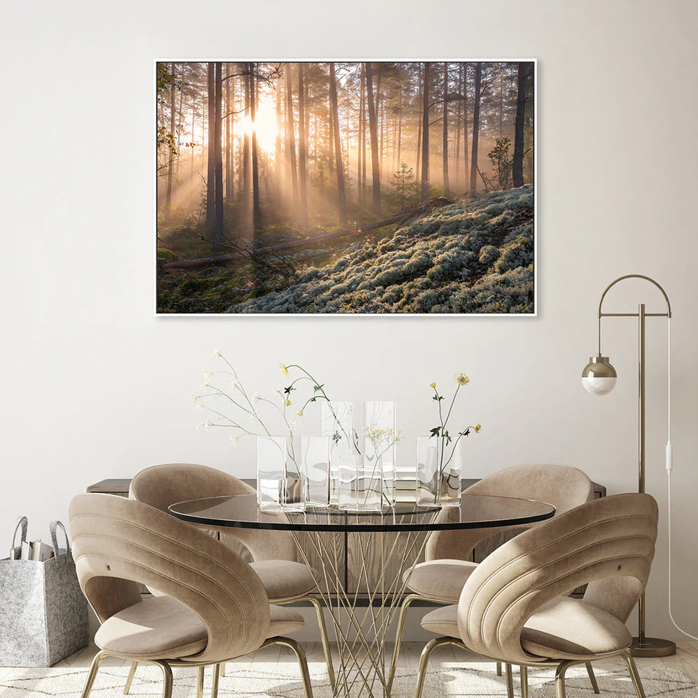 Misty Forest - Image 2