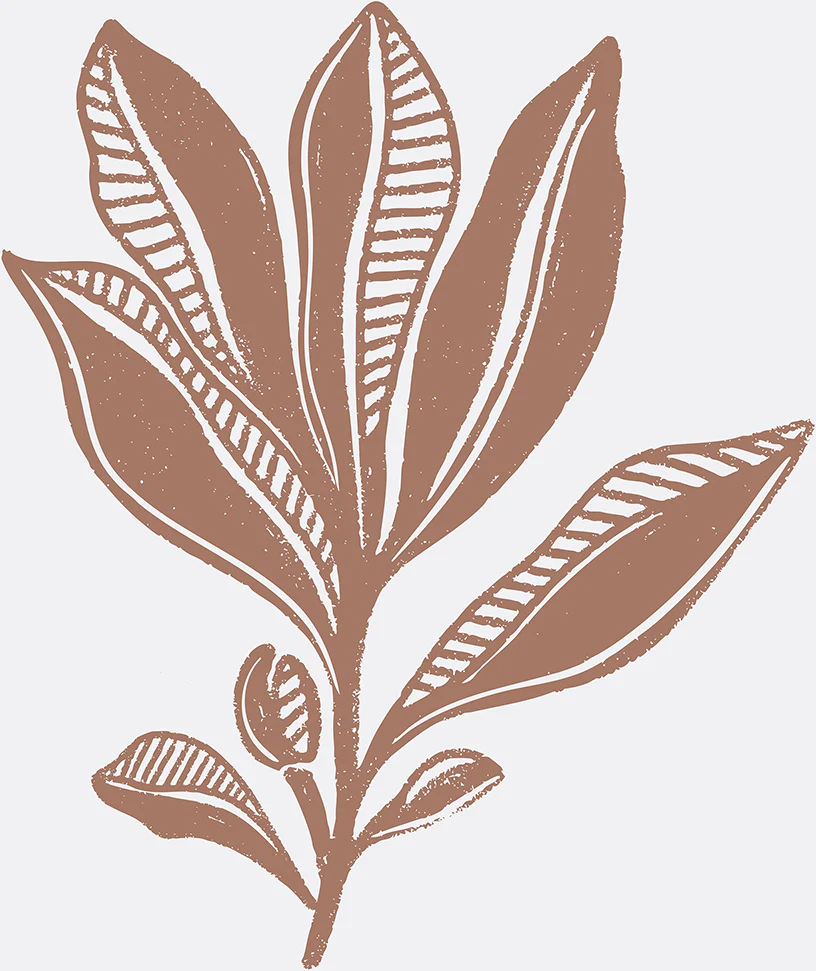 Earthy Foliage