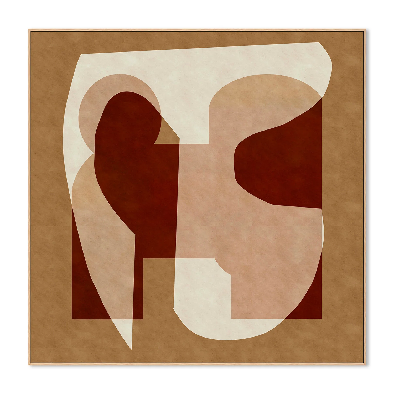 Mold - Image 4