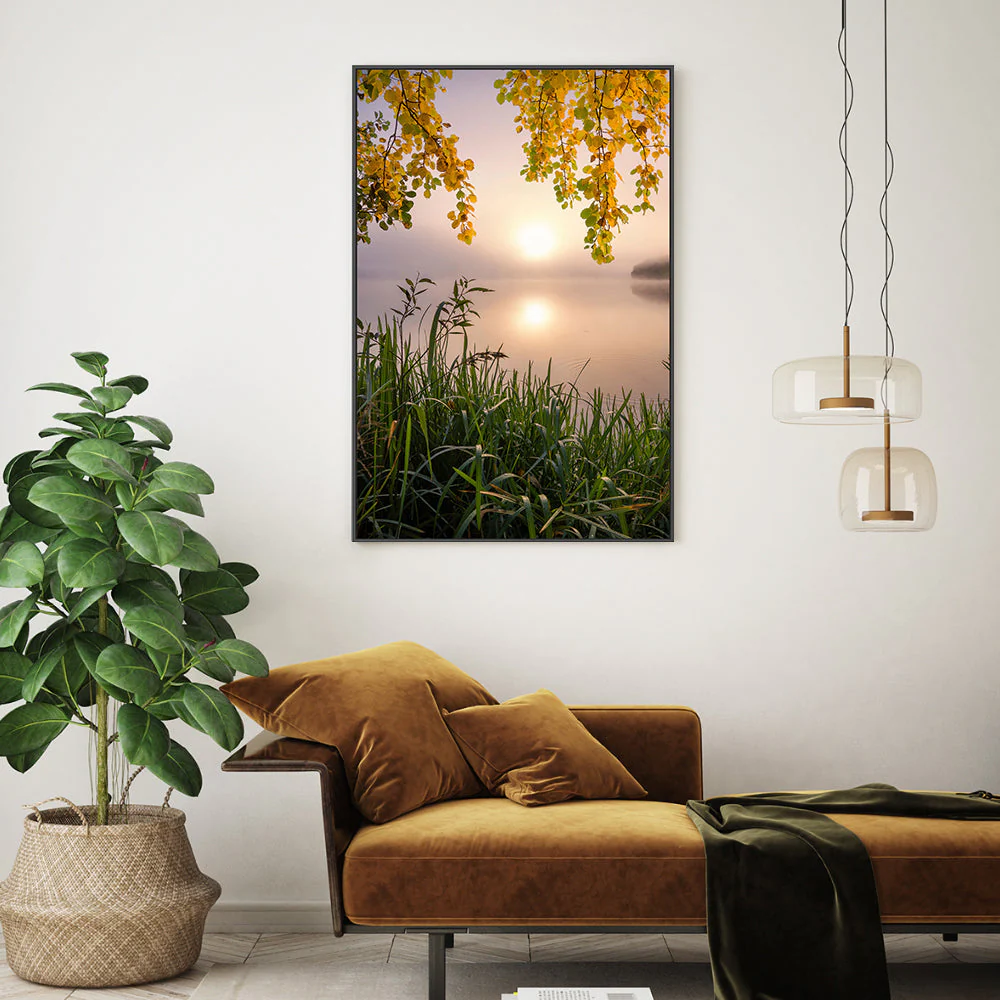 Morning Light - Image 2