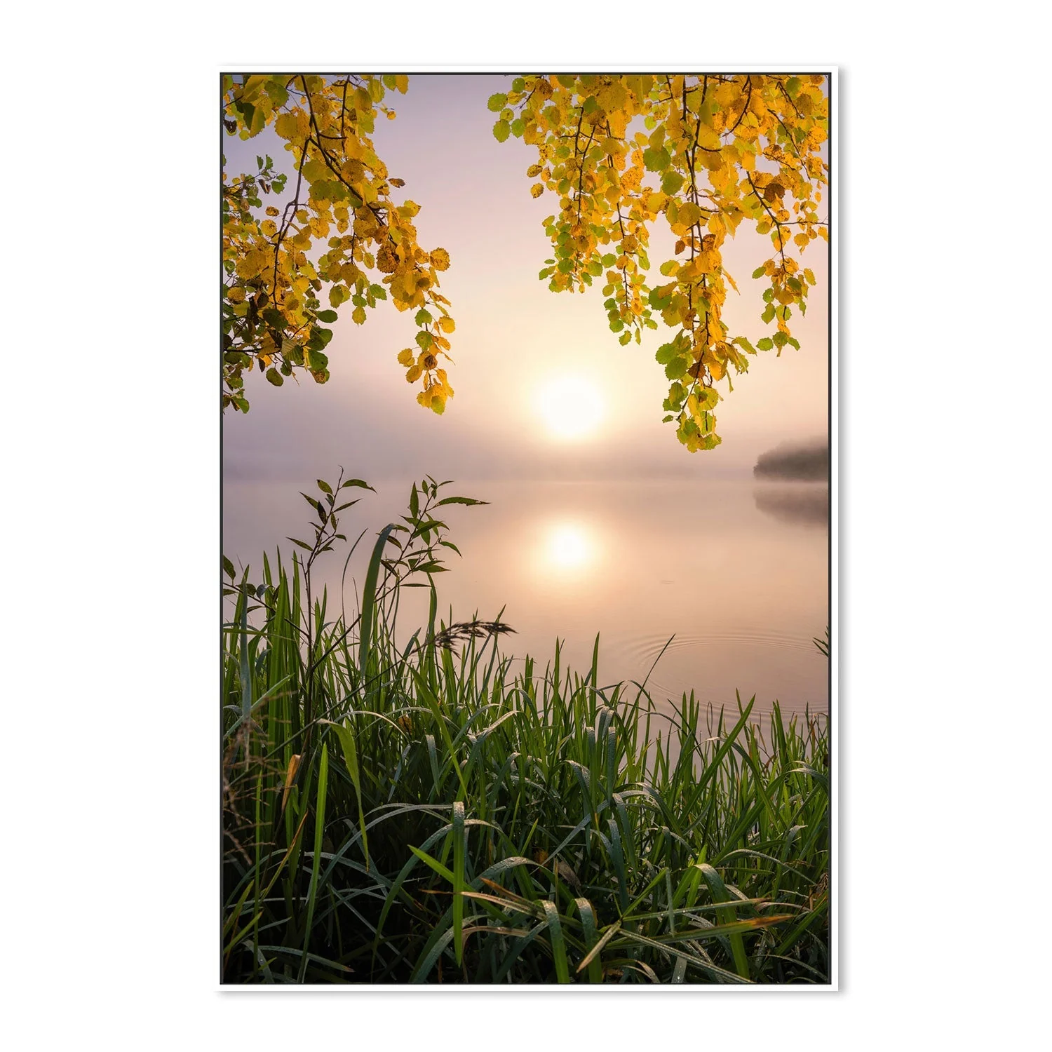 Morning Light - Image 5