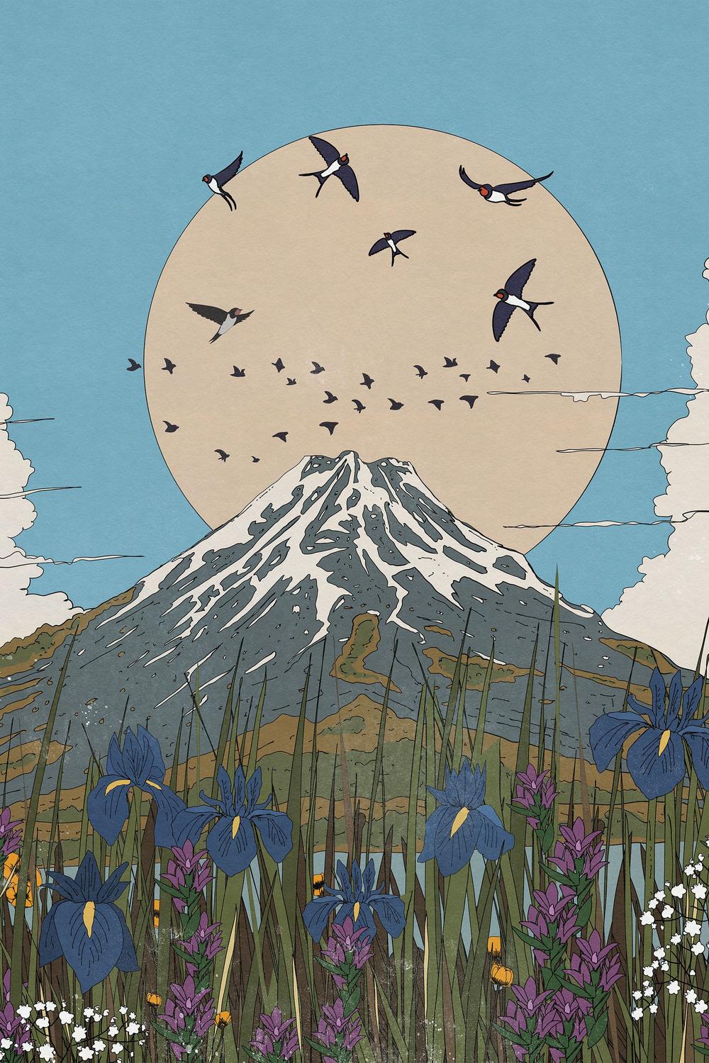 Mount Fuji Swallows Irises