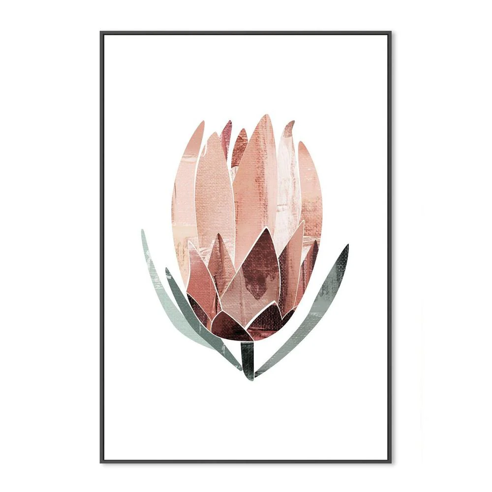 Native Protea - Image 4