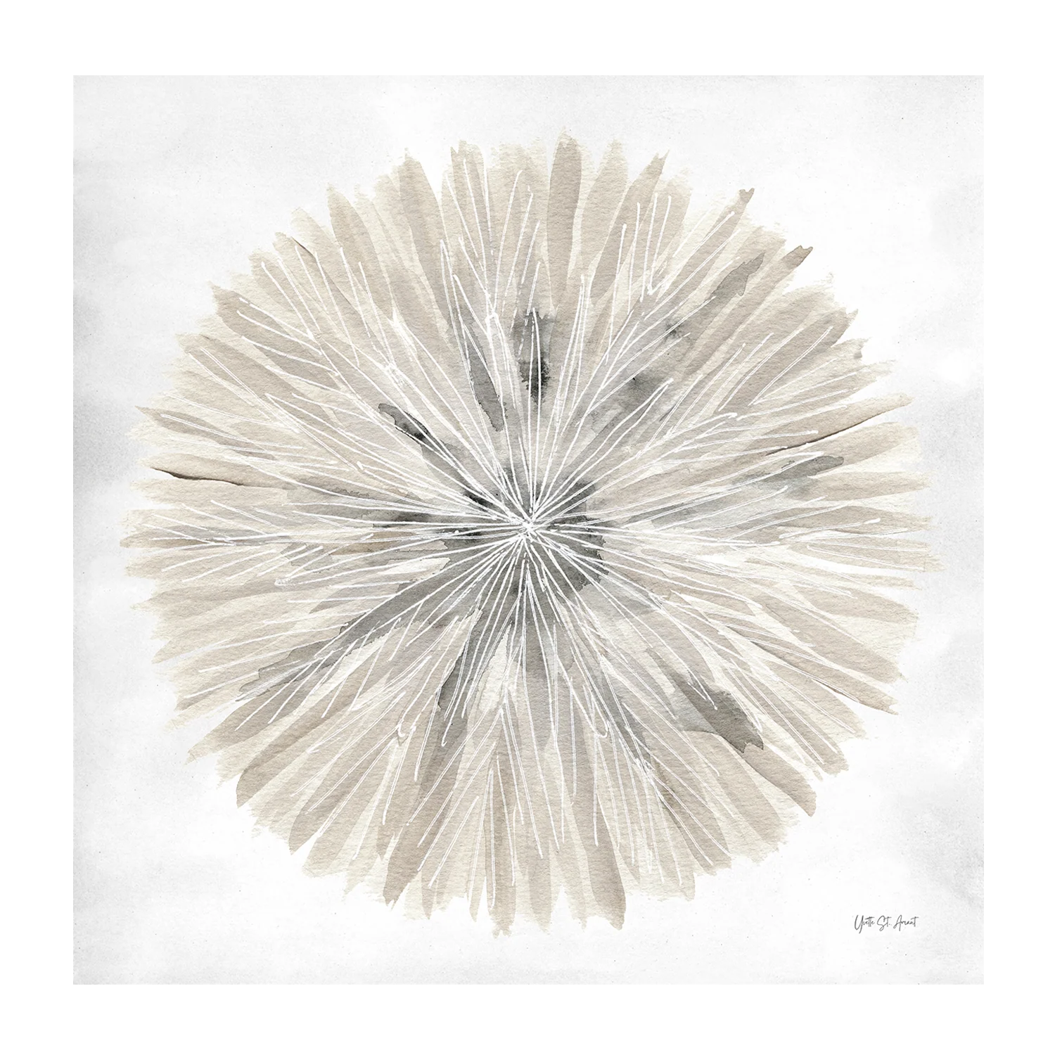 Natures Pinwheel, Style A & B, Set Of 2 - Image 8