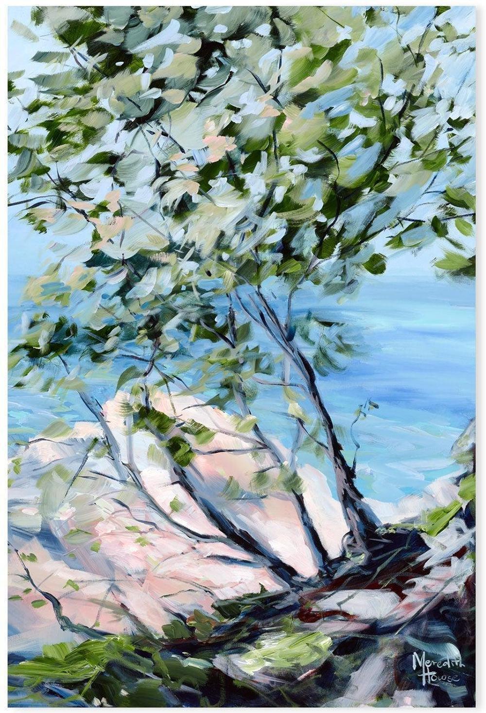 Noosa National Park