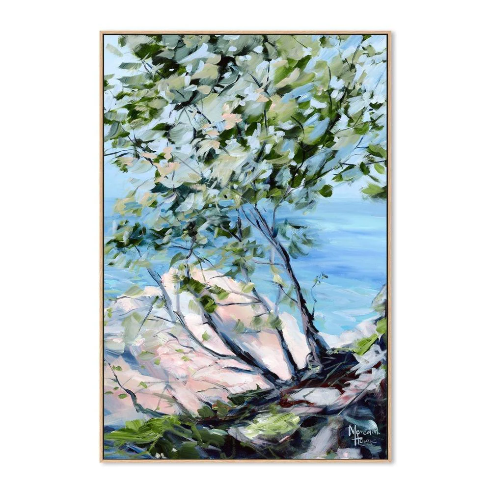Noosa National Park - Image 4