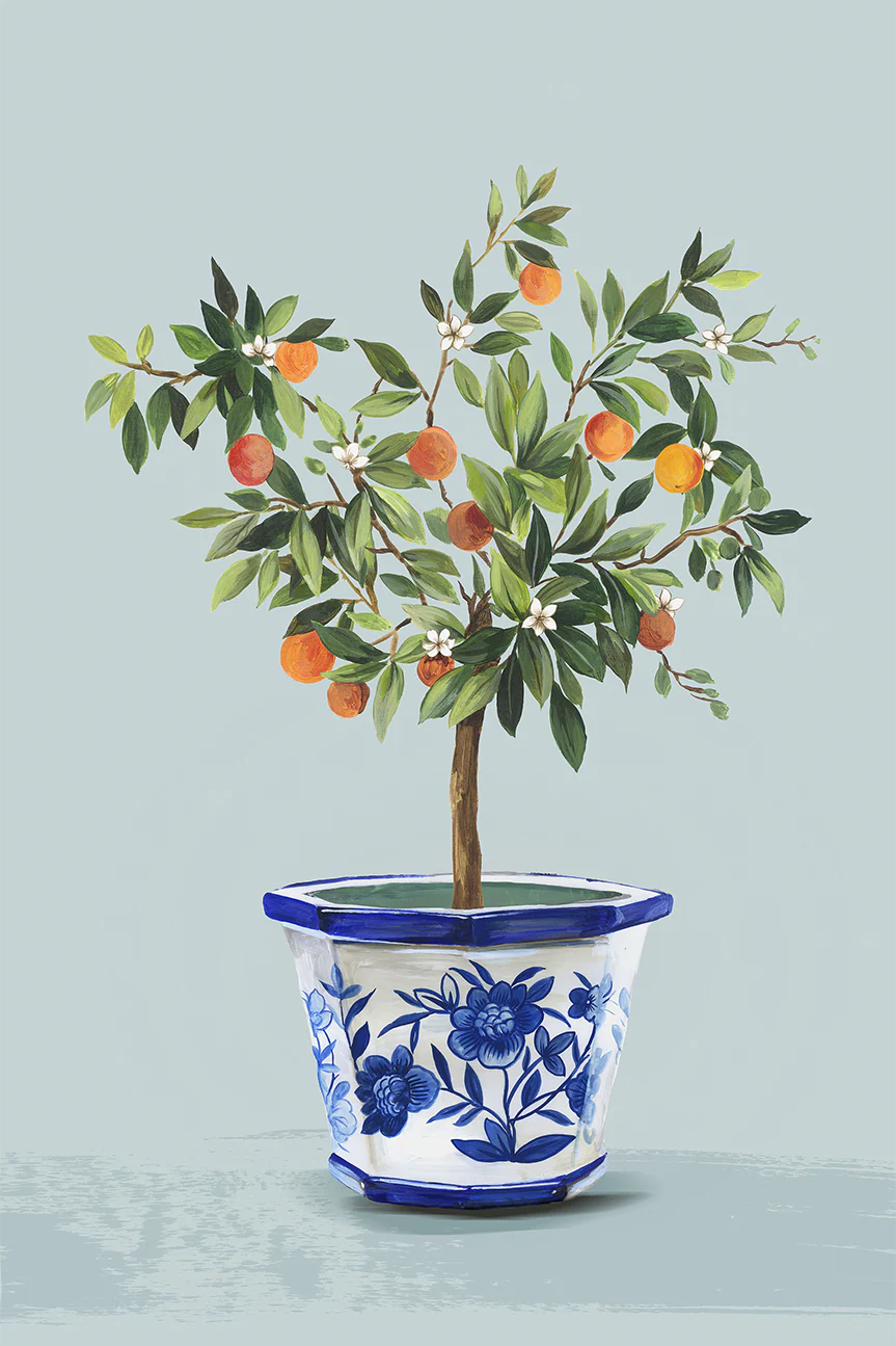 Olive Tree, Style B