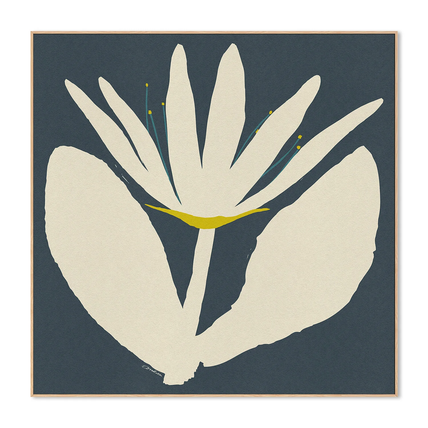 Open Cream Flower On Blue - Image 4