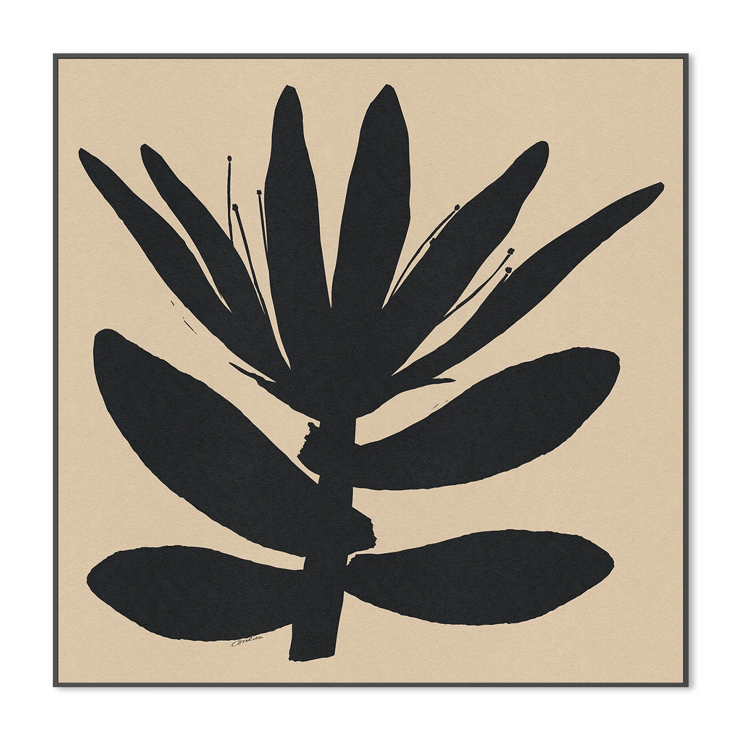 Open Narrow Petals Flower On Beige - Image 3