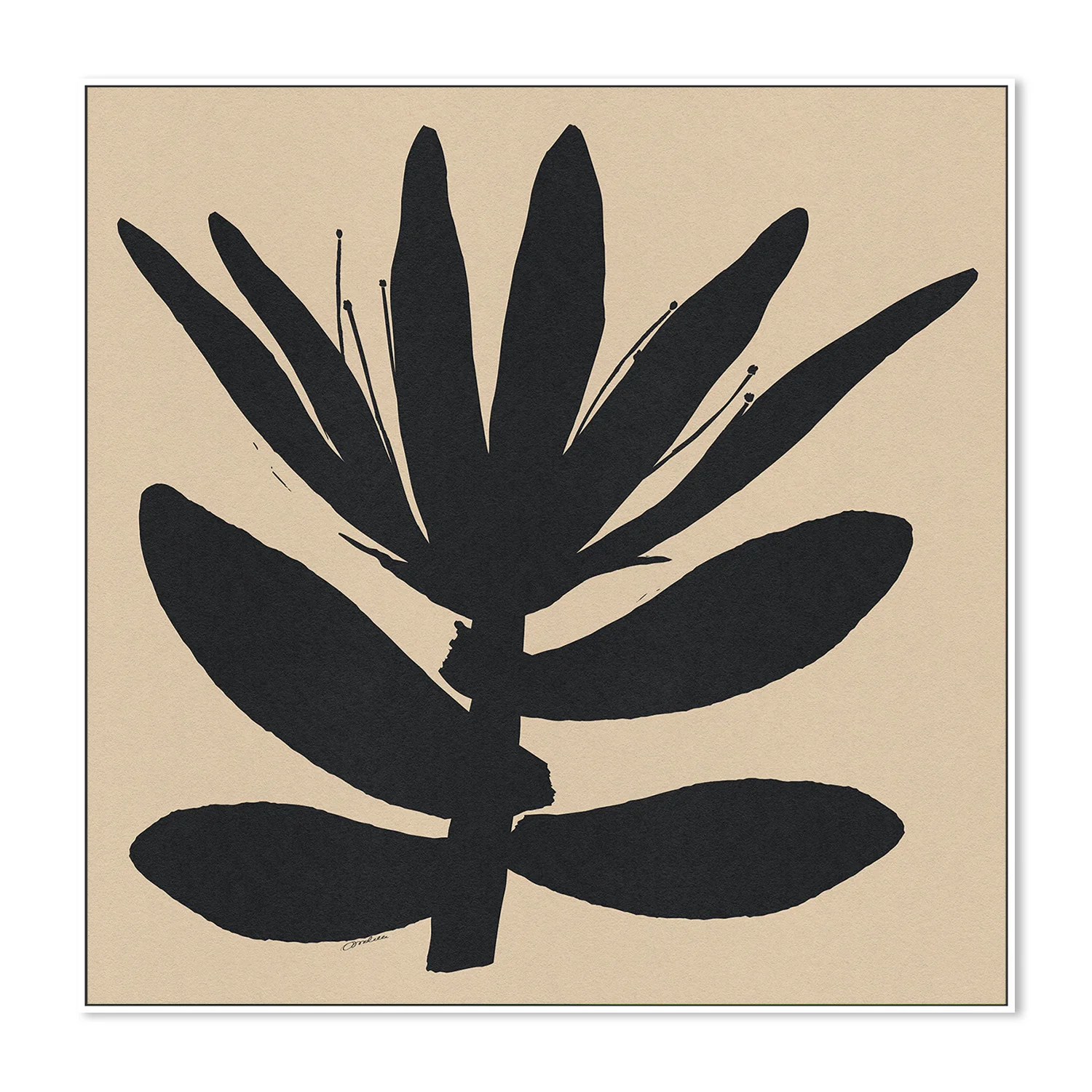 Open Narrow Petals Flower On Beige - Image 5