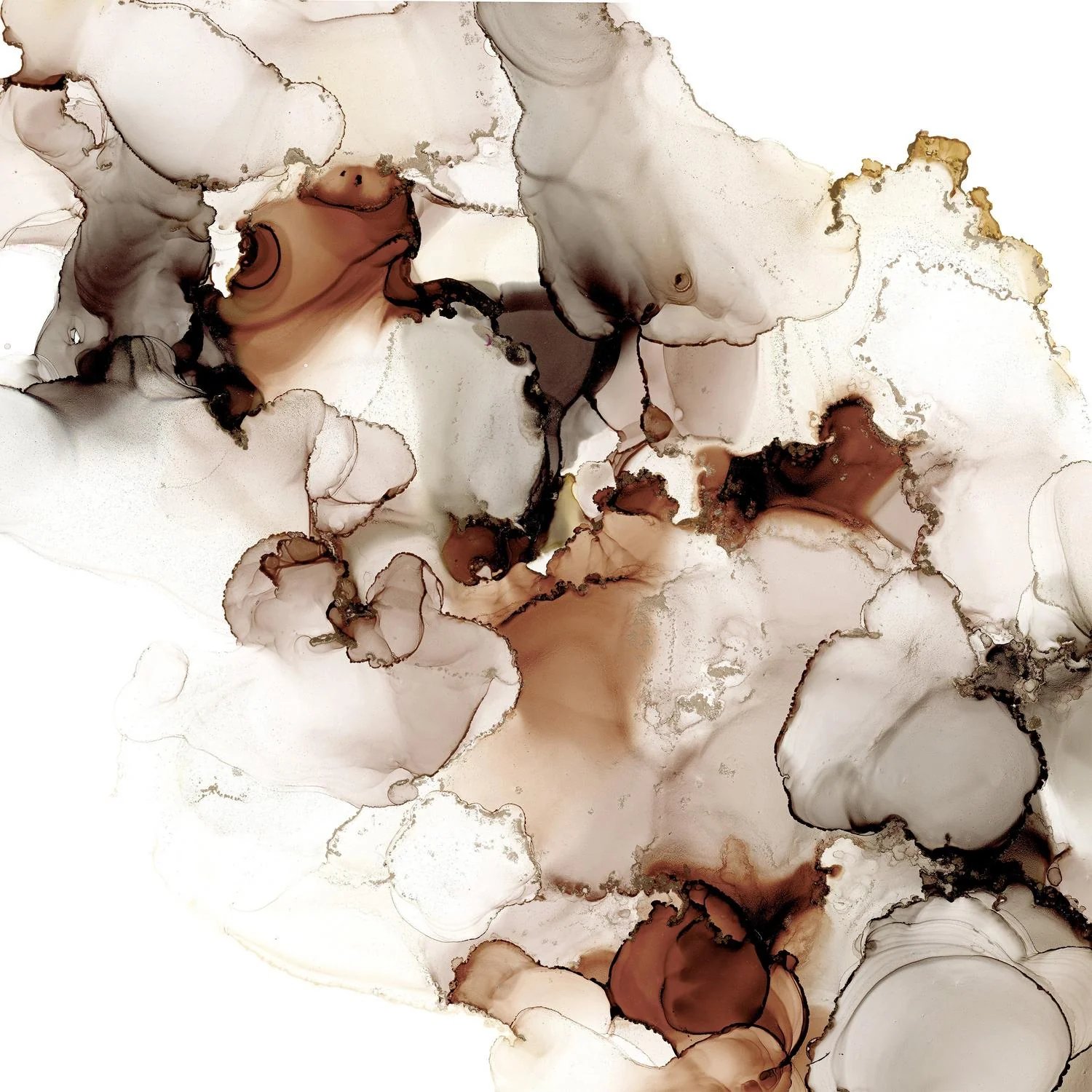 Organic Curves 20