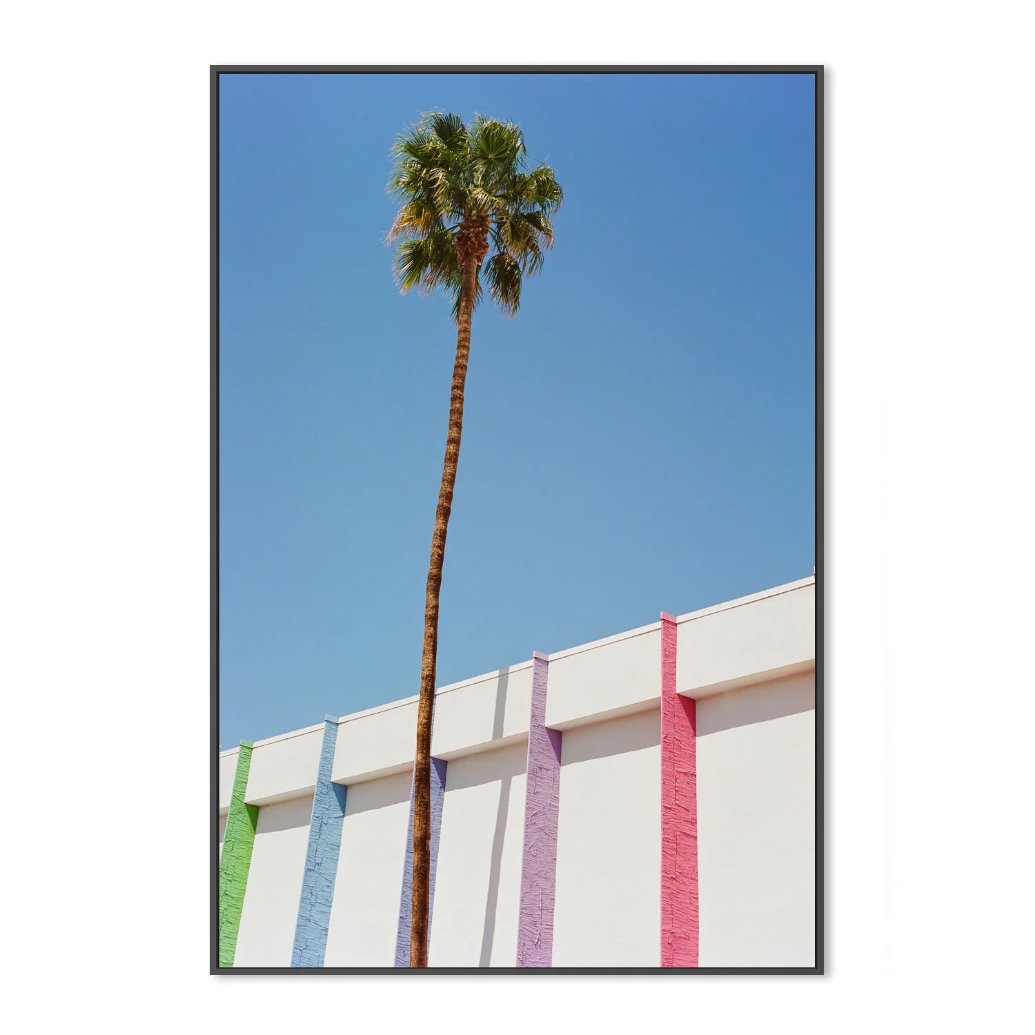 Palm Springs II - Image 3