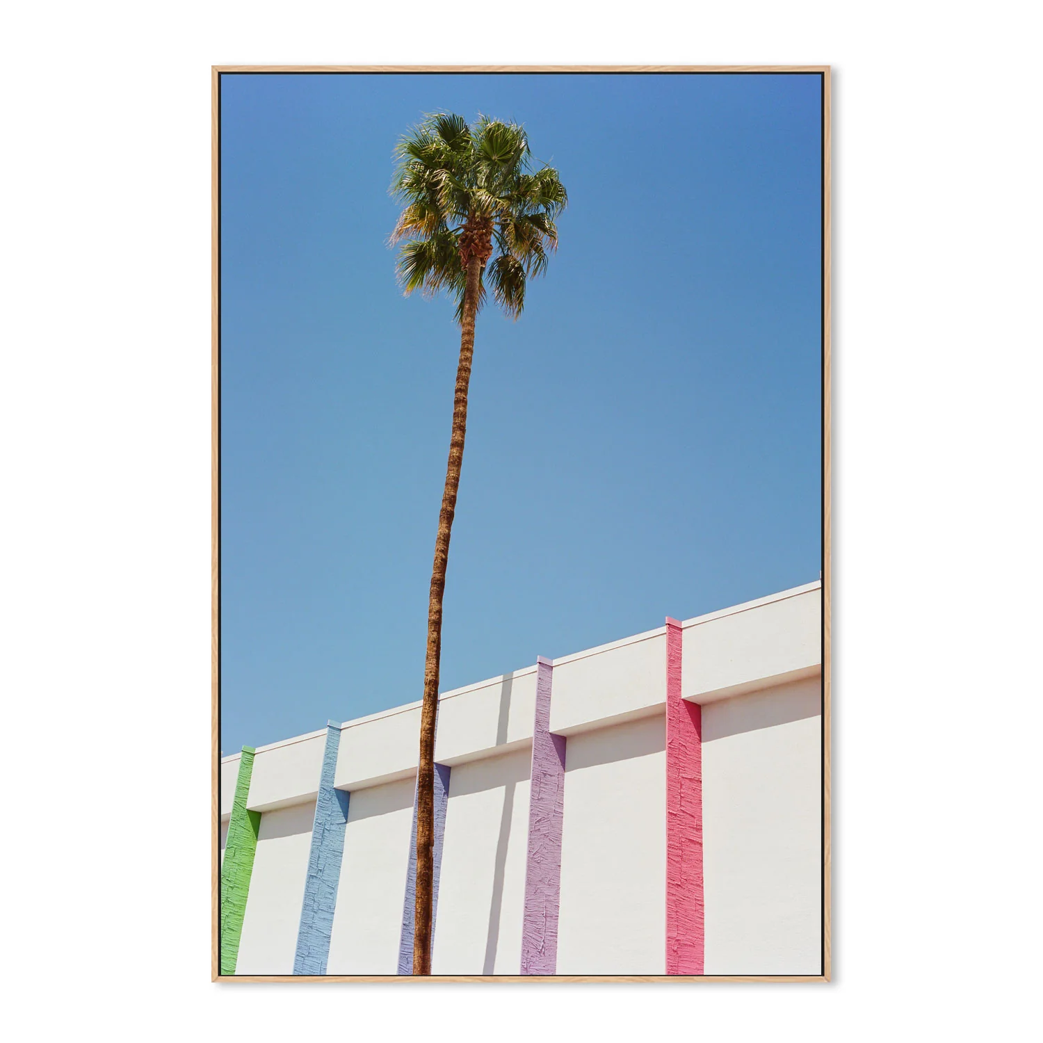 Palm Springs II - Image 4