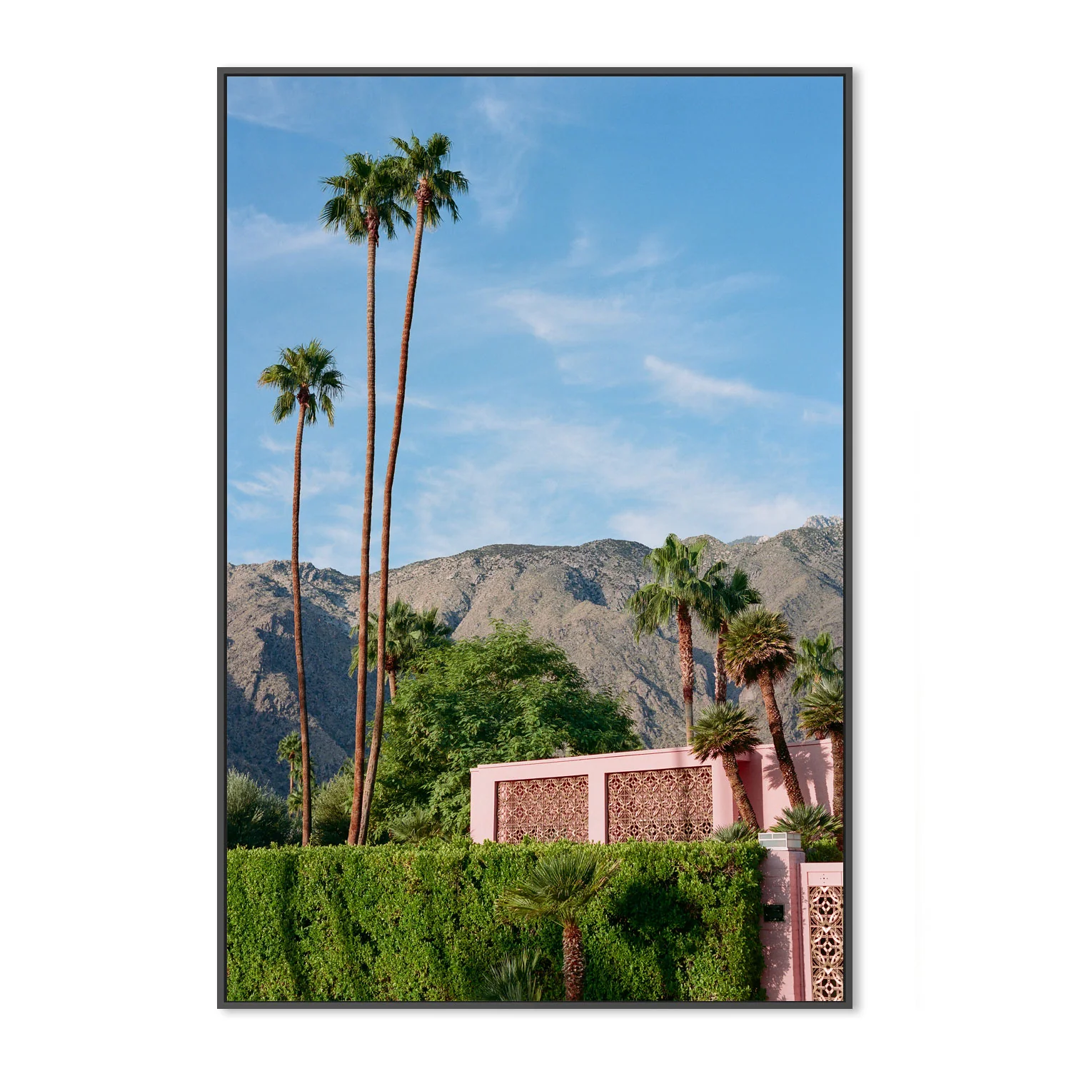 Palm Springs Pink House - Image 3