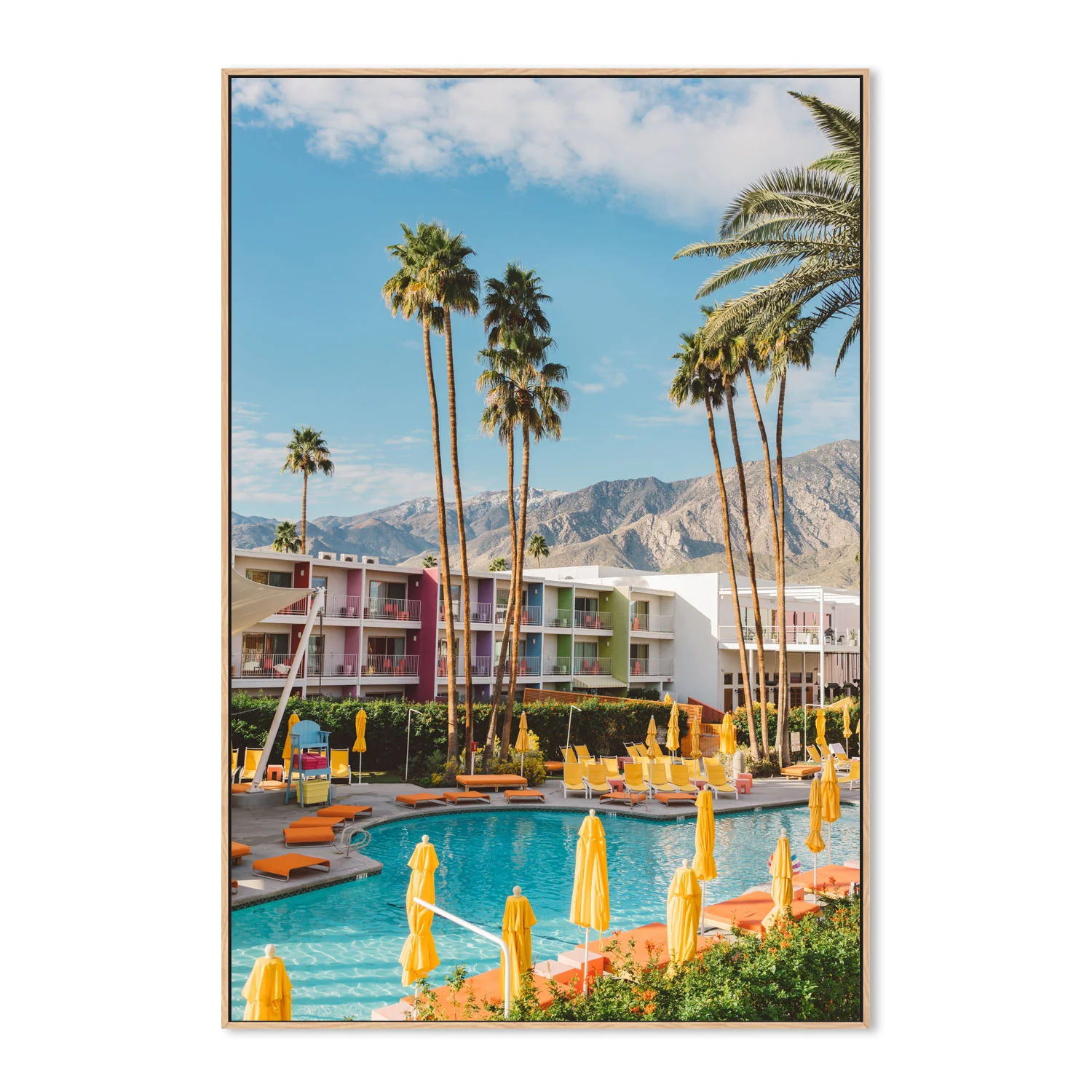 Palm Springs Saguaro - Image 4