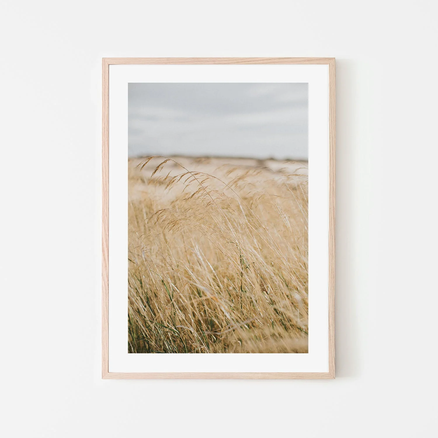 Pampas Grass, Style A - Image 6