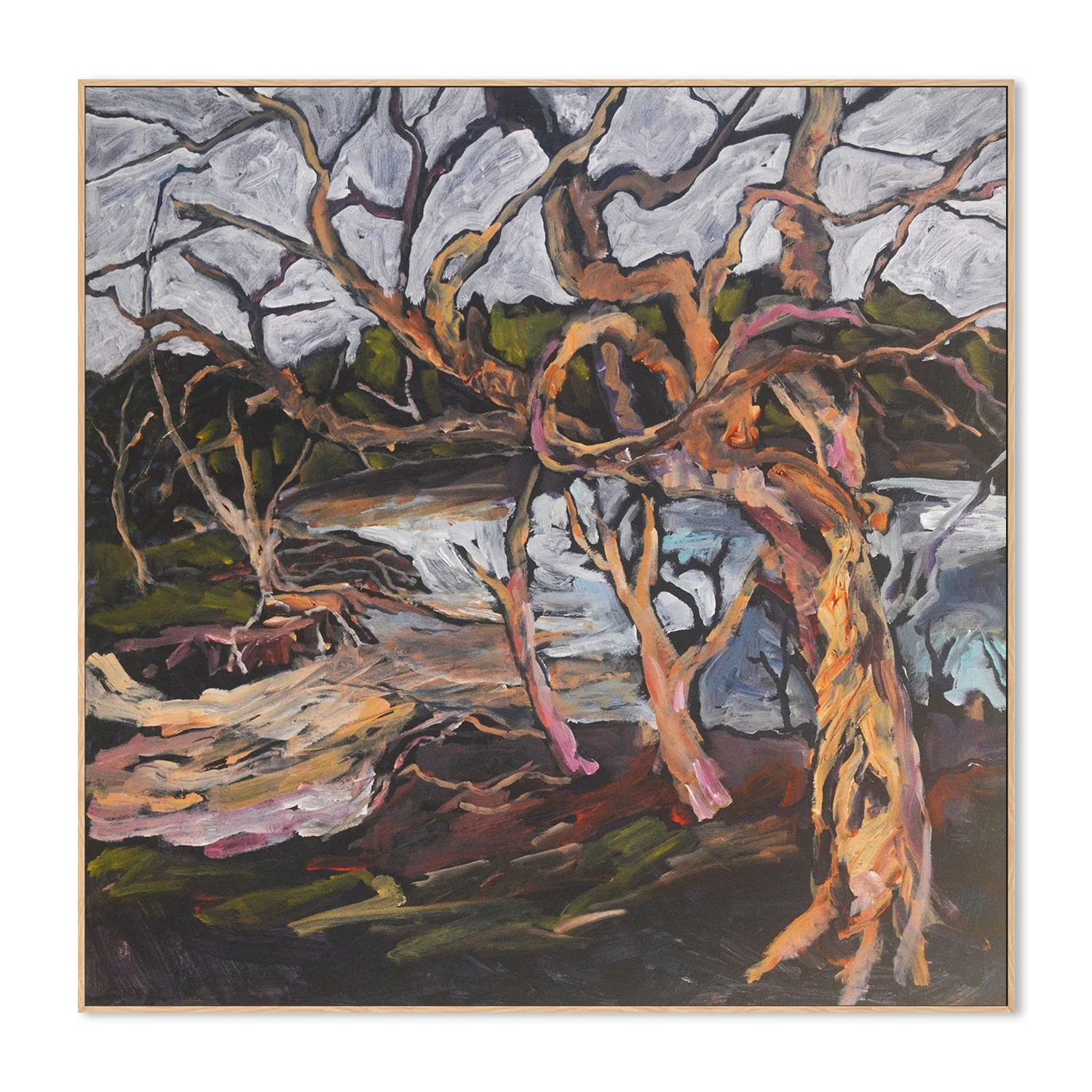 Paperbarks At The Lake - Image 4