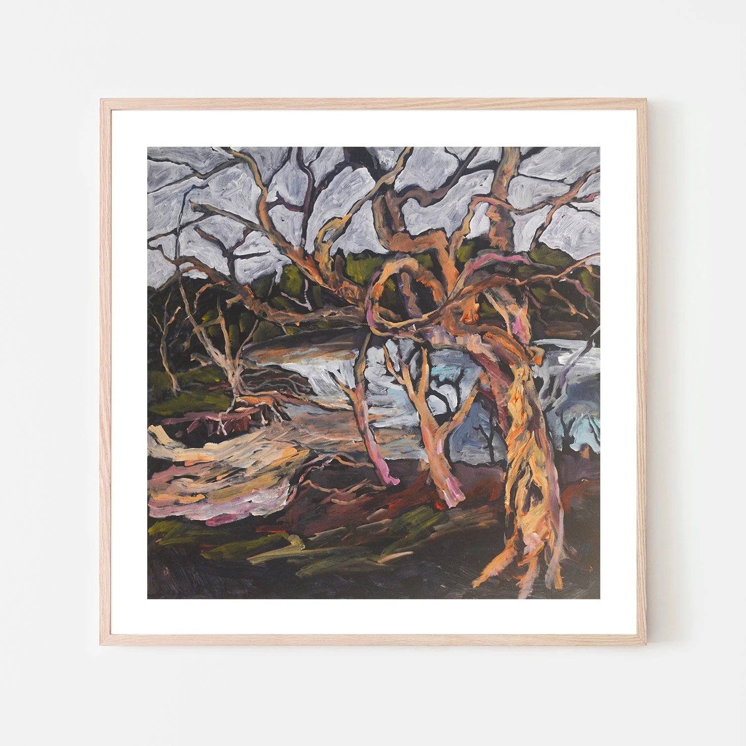 Paperbarks At The Lake - Image 6