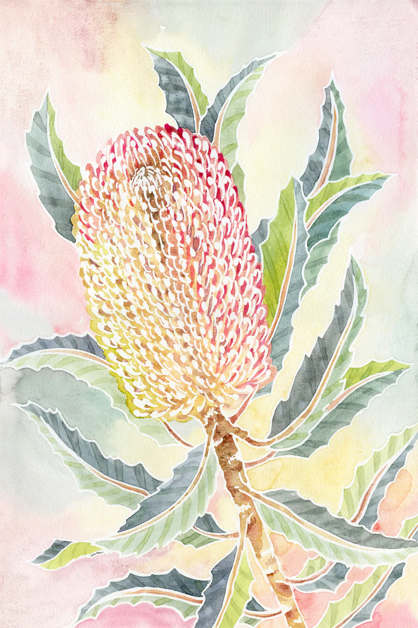 Pastel Banksia