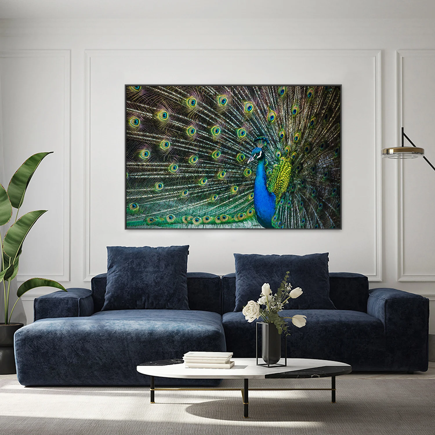 Peacock Framed by its Plumage, Glamour - Image 8